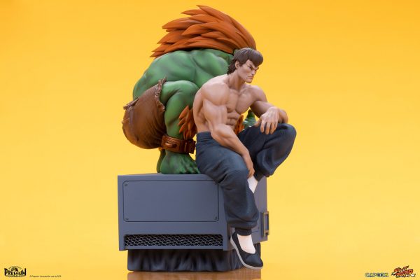 PCS BLANKA FEI LONG10