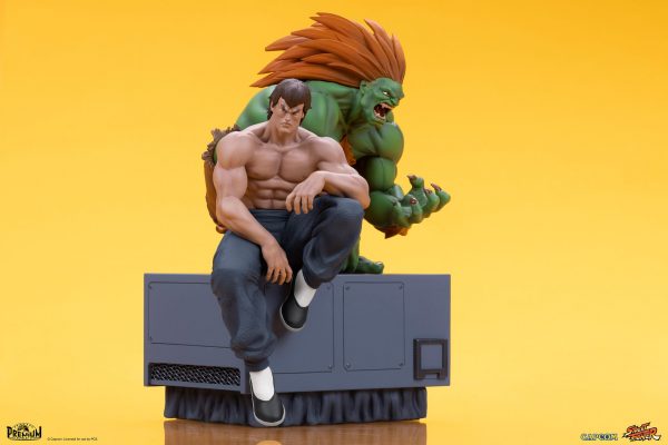 PCS BLANKA FEI LONG11