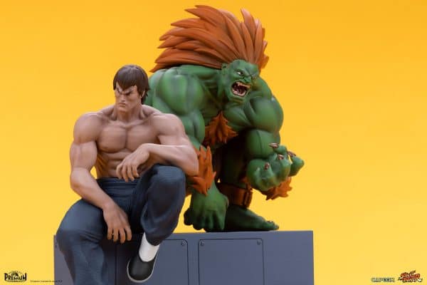 PCS BLANKA FEI LONG12
