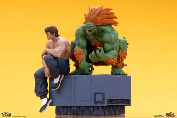PCS BLANKA FEI LONG6