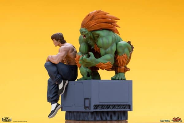 PCS BLANKA FEI LONG7
