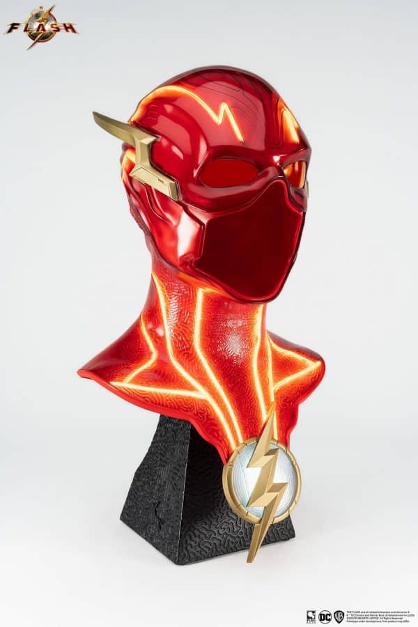 PURE ARTS CAPUCHA FLASH2