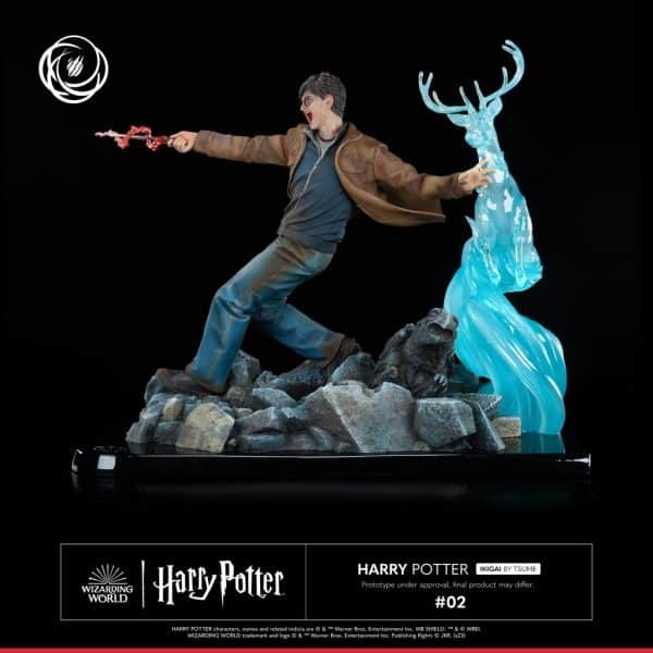 TSUME HARRY POTTER2