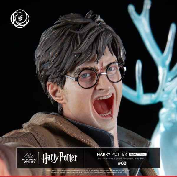 TSUME HARRY POTTER3