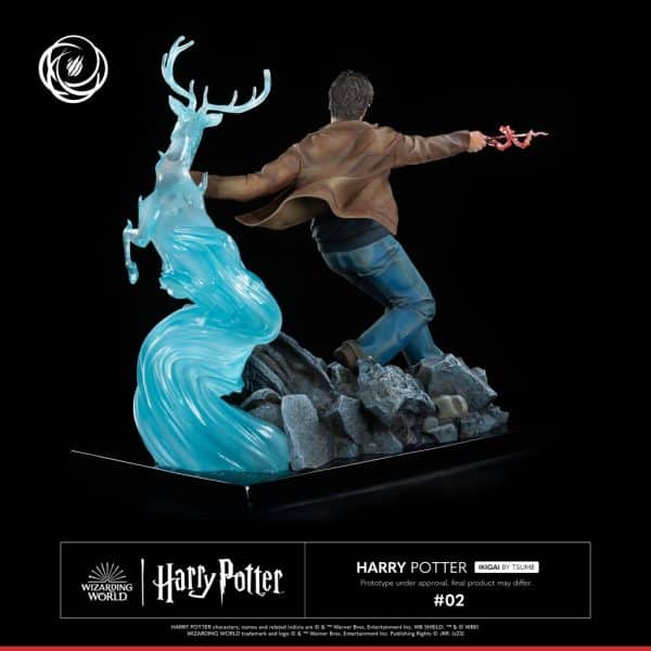 TSUME HARRY POTTER5