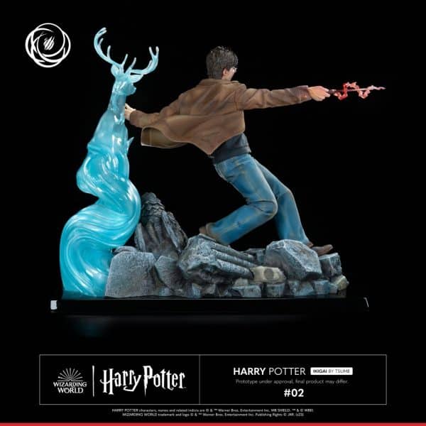 TSUME HARRY POTTER6