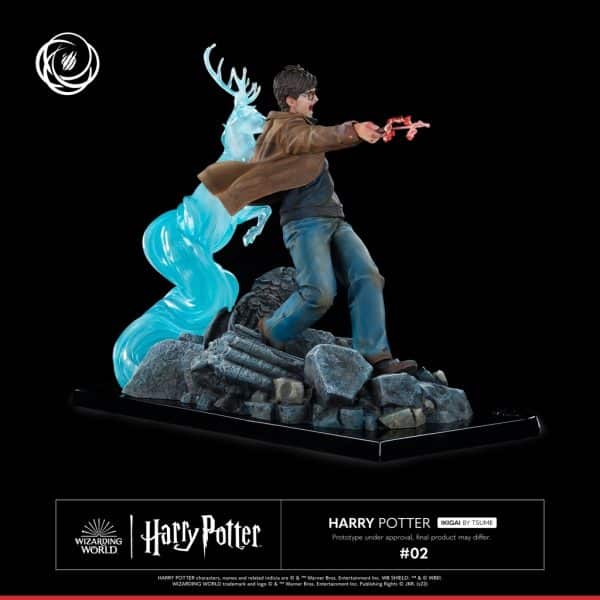 TSUME HARRY POTTER7