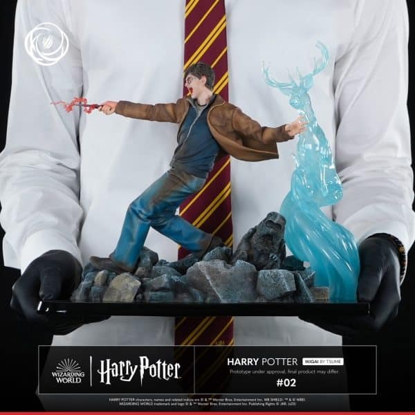 TSUME HARRY POTTER8