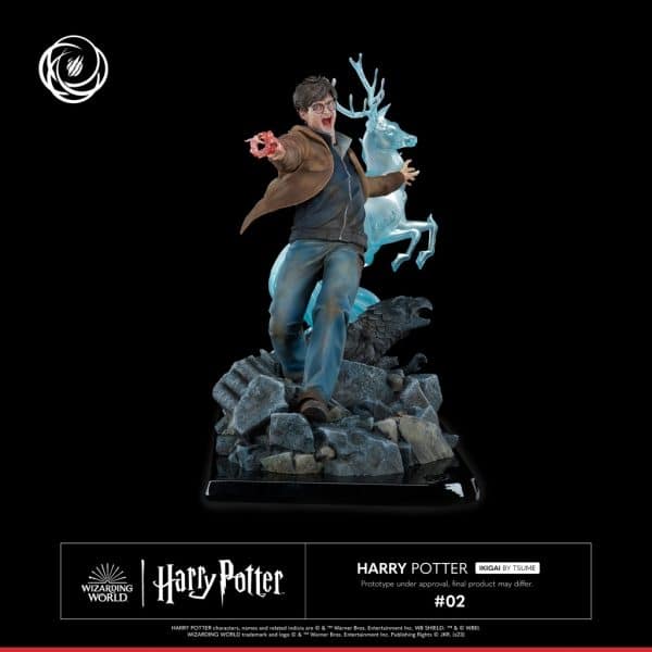 TSUME HARRY POTTER9 1